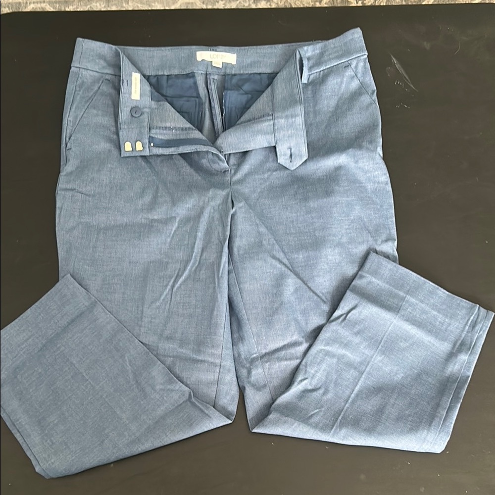 LOFT Blue Curvy Riviera Pants